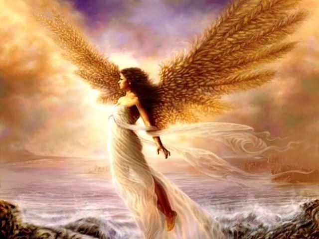 immagini sugli angeli