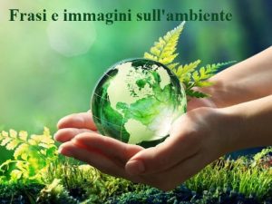 frasi e immagini sull'ambiente