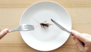 Roma ristorante blatte topi chiuse due tavole calde