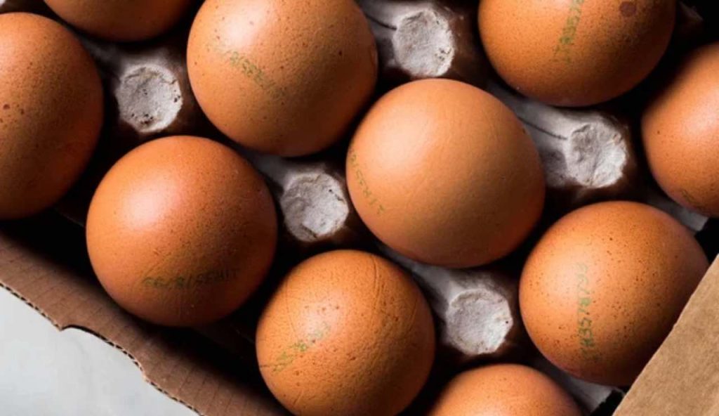 SCANDALO UOVA, quello che il supermercato NON ti dice | I 3 segnali OCCULTI per riconoscere le migliori