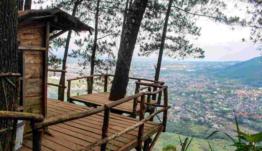 5 Hotel sull’Albero che ti lasceranno senza fiato: mangi e dormi immerso nella natura | Sono tutti in Italia