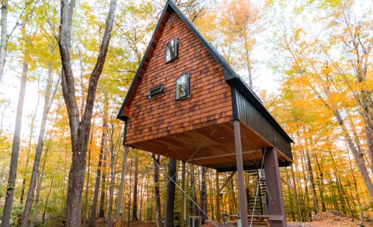 Casa sull'albero
