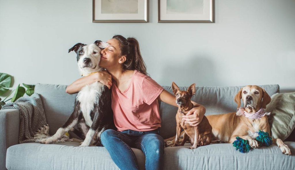 Frasi per chi ama gli animali: dediche poetiche per chi dice tutto… senza parlare