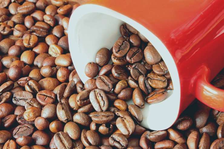 Illustrazione di una tazza di caffè (Pixabay FOTO) - frasidadedicare.it