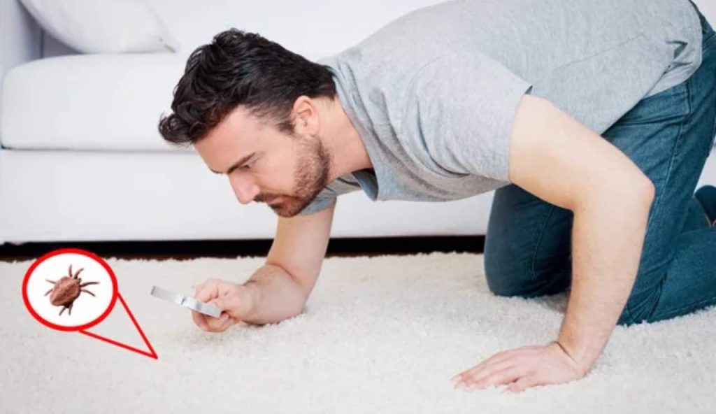 Acari, Batteri e Microorganismi in questo momento sono lel tuo Materasso, niente panico: Su Amazon c’è lo strumento che disinfetta tutto