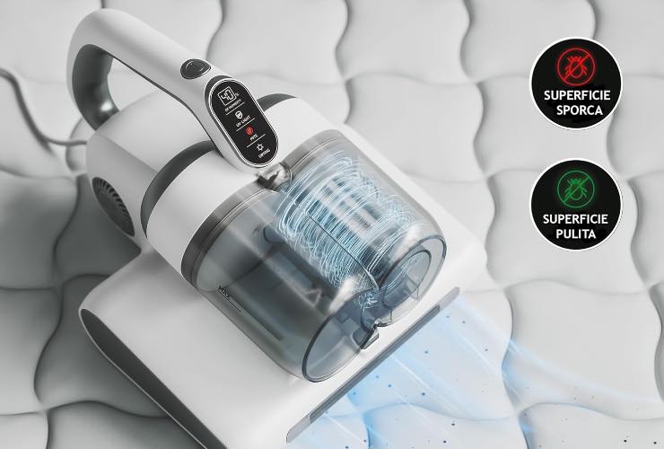 Microorganismi acari batteri materasso Amazon strumento